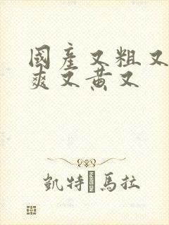 国产又粗又猛又爽又黄又