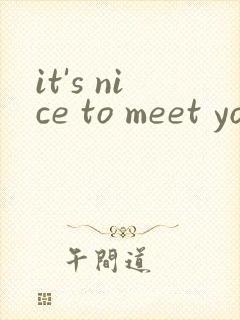 it's nice to meet you翻译