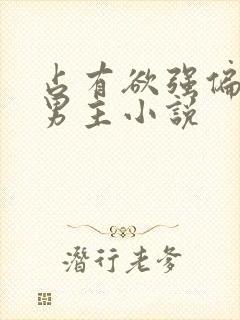 占有欲强偏执双男主小说