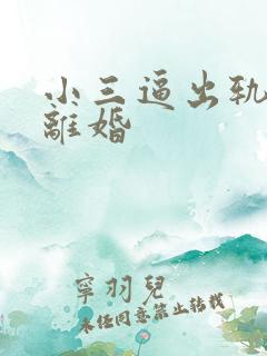 小三逼出轨老公离婚