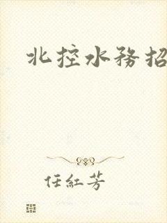 北控水务招投标