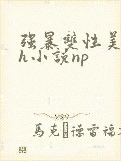 强暴双性美人高h小说np