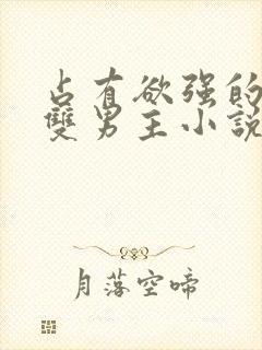 占有欲强的病娇双男主小说