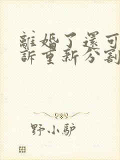 离婚了还可以起诉重新分割财产吗