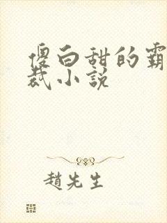 傻白甜的霸道总裁小说