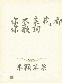你不来我都在等你歌词