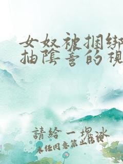 女奴被捆绑调教抽阴蒂的视频