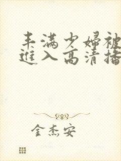 丰满少妇被猛烈进入高清播放,