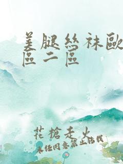 美腿丝袜欧美一区二区