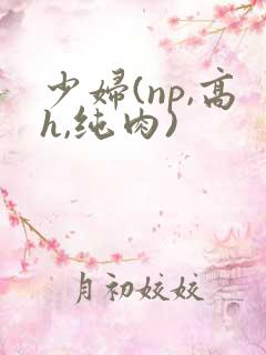 少妇(np,高h,纯肉)