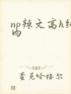 np辣文高h纯肉
