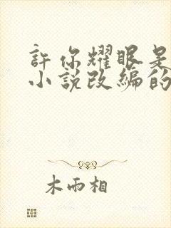 许你耀眼是哪部小说改编的