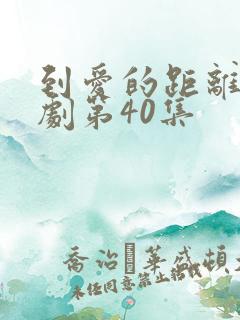 到爱的距离电视剧第40集