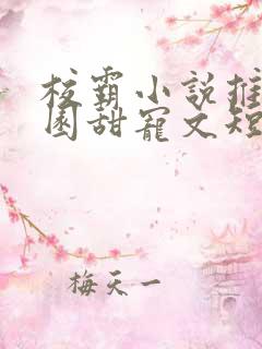 校霸小说推荐校园甜宠文短篇