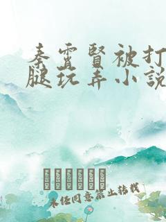 秦霄贤被打开双腿玩弄小说