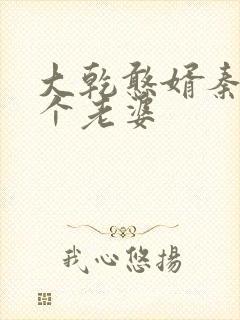 大乾憨婿秦墨几个老婆