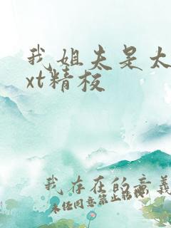 我姐夫是太子txt精校