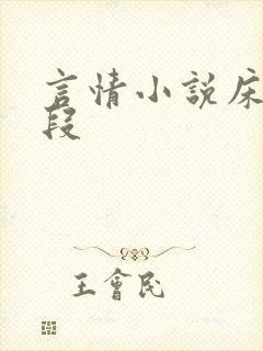 言情小说床戏片段