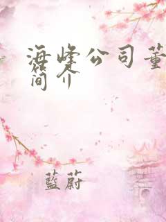 海峰公司董事长简介