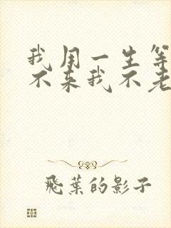 我用一生等你你不来我不老歌词