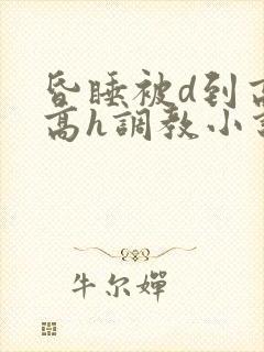 昏睡被d到高潮高h调教小说