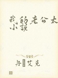 我的老公太猛了小说