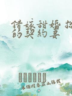 错嫁甜婚 总裁的契约妻