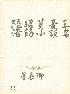 陆昭菱晋王朱明浩的小说名