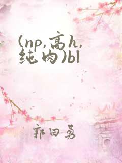 (np,高h,纯肉)bl