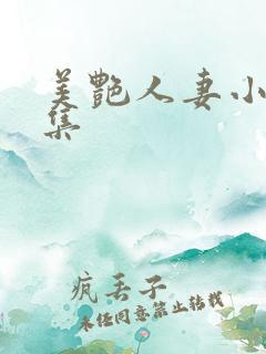 美艳人妻小说合集