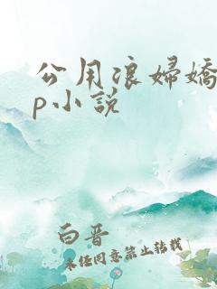 公用浪妇娇妻多p小说