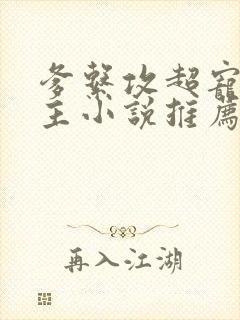 爹系攻超宠双男主小说推荐