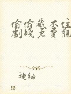 偷偷藏不住电视剧线免费观看