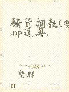 骚货调教(双性,np道具,