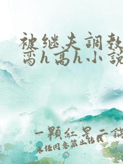 被继夫调教成禁脔h高h小说