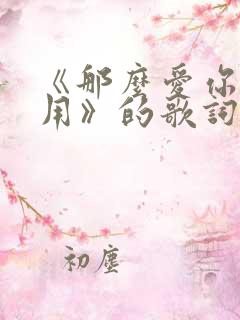 《那么爱你也没用》的歌词