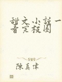 甜文小说一口气看完校园