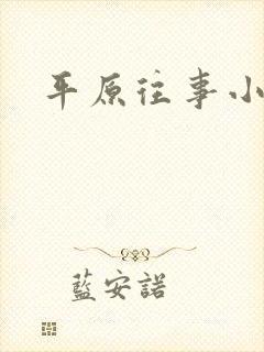 平原往事小说