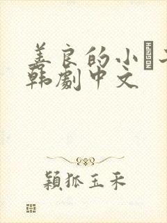 善良的小峓子2韩剧中文