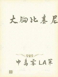 大胸比基尼品牌