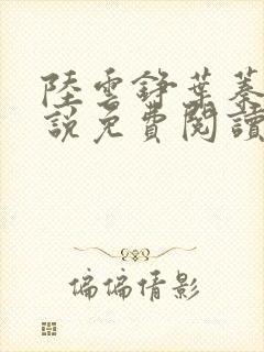 陆云铮叶蓁蓁小说免费阅读最新章节