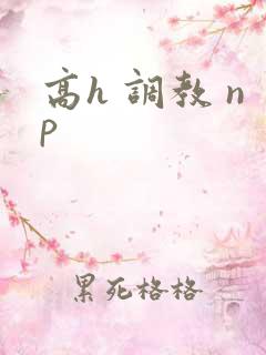 高h 调教 np