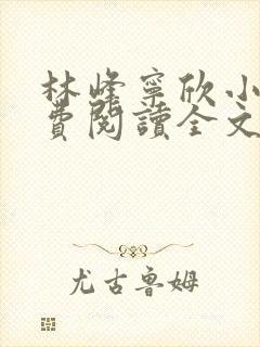 林峰宁欣小说免费阅读全文下载