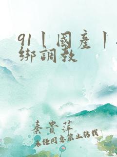 91丨国产丨捆绑调教