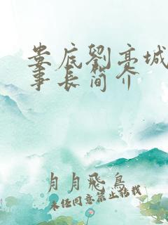 娄底刘亮城投董事长简介