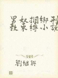 男奴捆绑刑具调教束缚小说