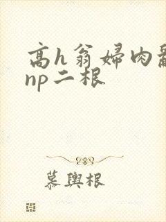 高h翁妇肉乱文np二根