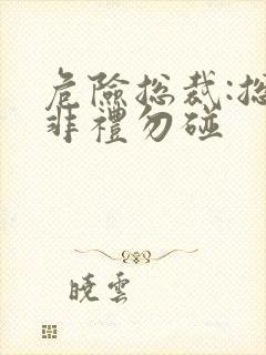 危险总裁:总裁非礼勿碰