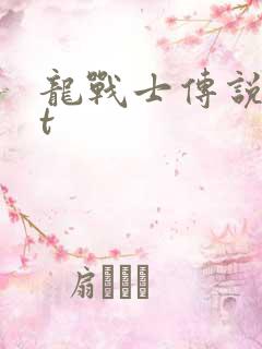 龙战士传说txt