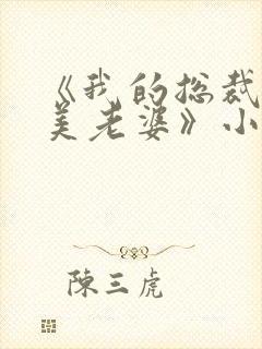 《我的总裁白富美老婆》小说